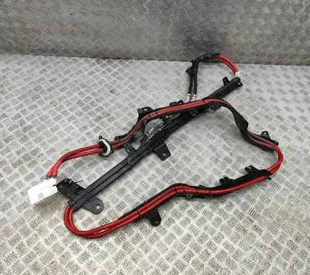 Other wiring loom