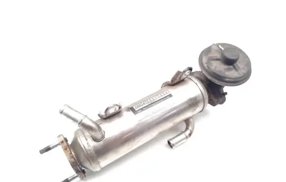 Chevrolet Captiva EGR valve cooler 96817829 C388931