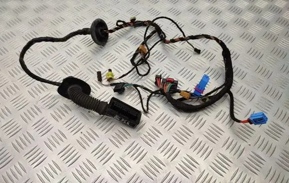 Front door wiring loom