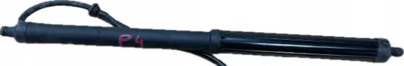 Toyota RAV 4 (XA50) Tailgate strut 68910-42060