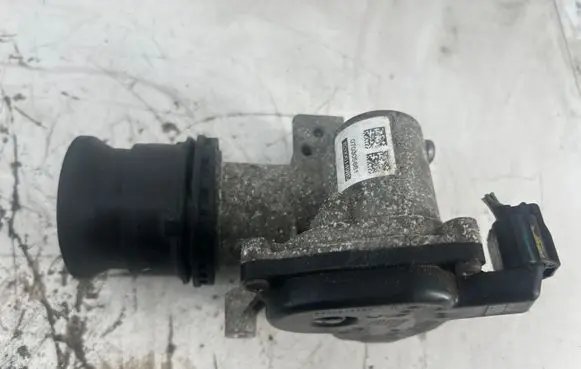 Dacia Duster Throttle valve 8200614985