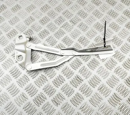 Ford Transit VII Engine bonnet/hood hinges KK3116801AB