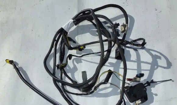 Peugeot 206 CC Other wiring loom