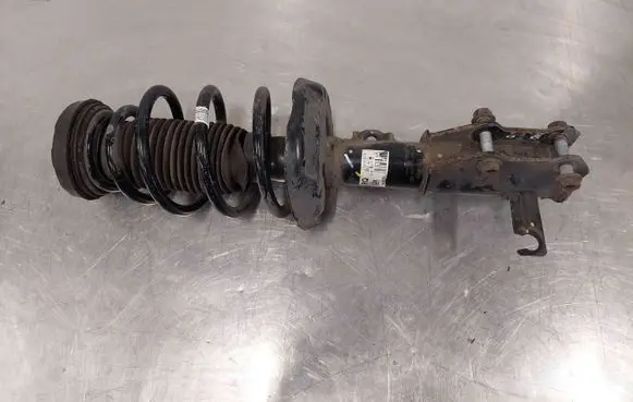 Opel Insignia A Front shock absorber with coil spring 13245976 36732726