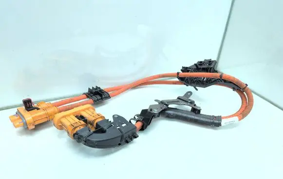 Cupra Born Other wiring loom 1EA971015
