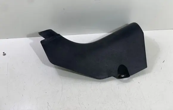 Renault Koleos I Front sill trim cover 66901JY400
