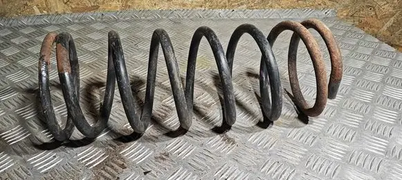 Land Rover Discovery Front coil spring