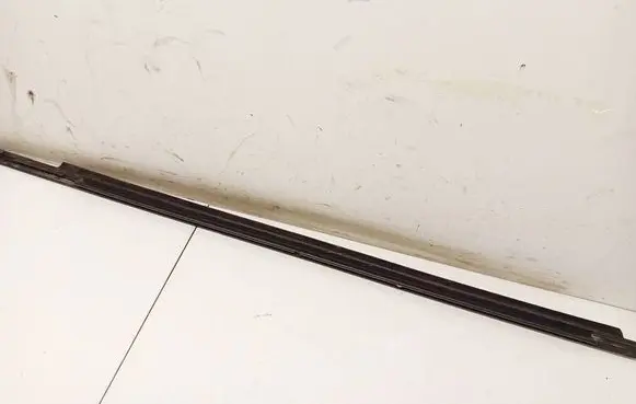 Mitsubishi Outlander Front door glass trim molding 