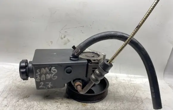 SsangYong Rexton Power steering pump Ns6540647
