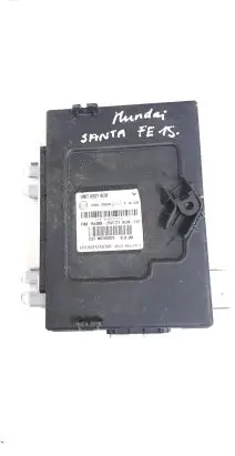 Hyundai Santa Fe Other control units/modules DM954002W721