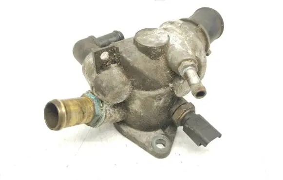 Thermostat/thermostat housing