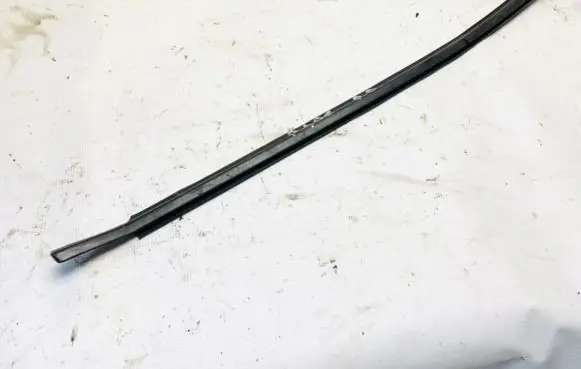 Front door glass trim molding