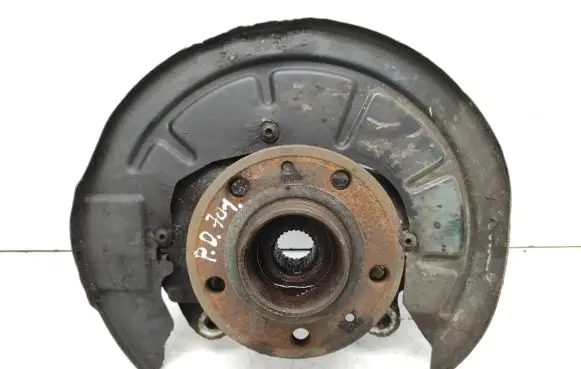 Renault Laguna III Front wheel hub spindle knuckle 400140006R