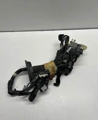 Ford Mustang V Front door wiring loom