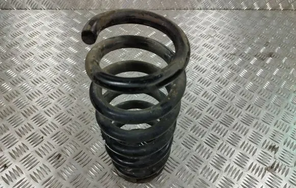 Ford Edge II Rear coil spring