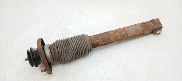BMW X5 E53 Rear shock absorber/damper 33526750361