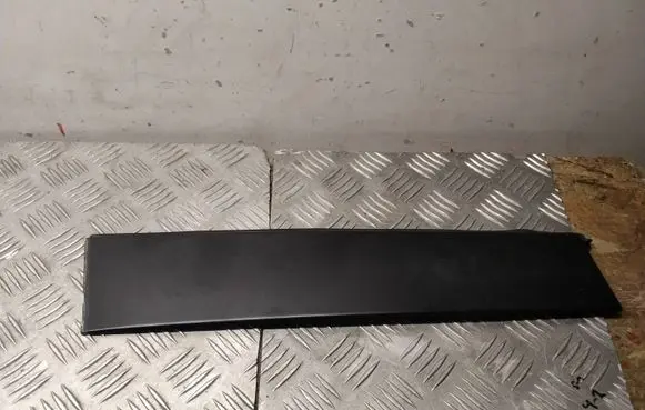 Toyota RAV 4 (XA50) Rear door glass trim molding 75076