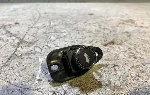 Dodge Challenger Tailgate opening switch 68141864AA 10094024