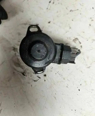 Throttle body valve