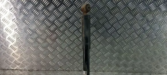 Citroen C3 Rear shock absorber/damper 315165