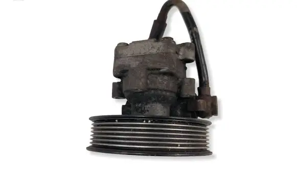 Volkswagen Phaeton Power steering pump 
