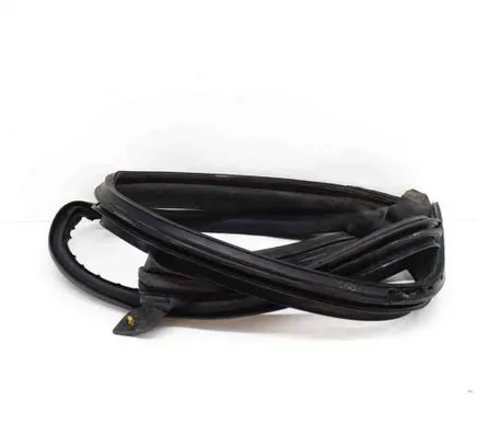 Tesla Model 3 Rubber seal front coupe door 156223