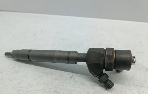Mercedes-Benz S W220 Fuel injector 0445110096 A6130700587