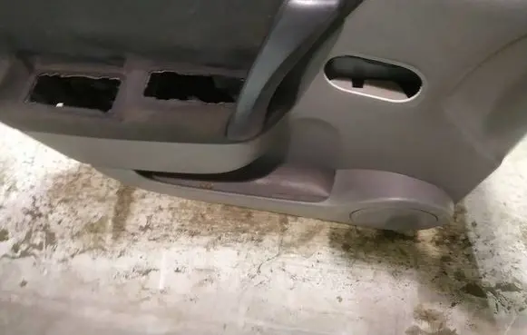 Renault Scenic II - Grand scenic II Front door card panel trim 