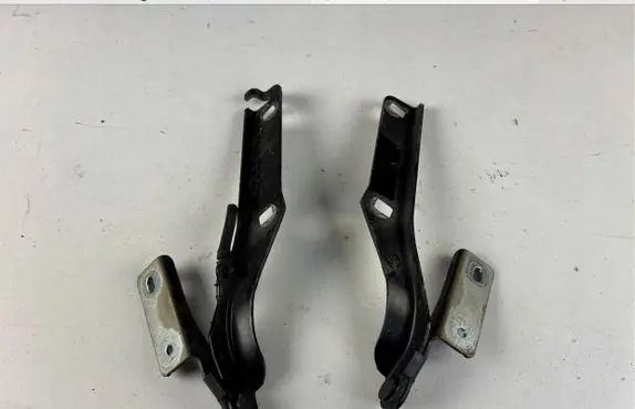 Citroen Berlingo Engine bonnet/hood hinges 