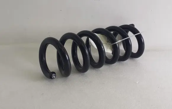 Ford Mustang Mach-E Rear coil spring LJ9C5560BNF