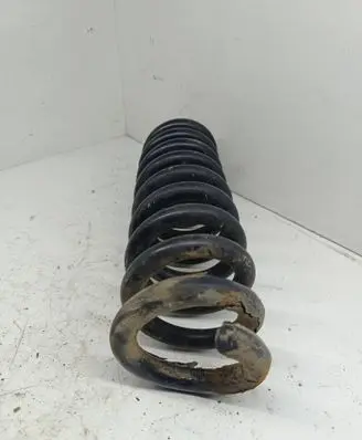 Chrysler 300 - 300C Rear coil spring 04895496AB