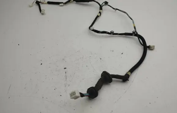 Lexus IS 220D-250-350 Rear door wiring loom 8215353040C