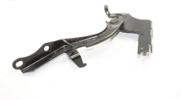 Lexus RX 450H Engine bonnet/hood hinges
