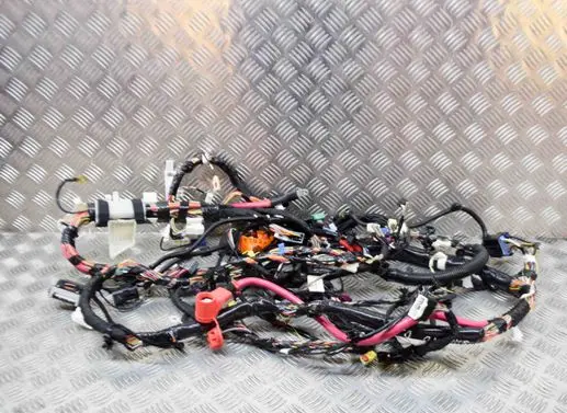 Tesla Model 3 Other wiring loom 109209700C 106795500E