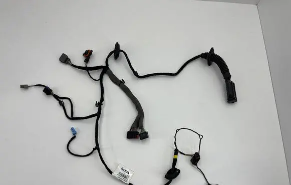Front door wiring loom