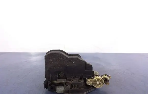 BMW X3 F25 Front door lock 7318411