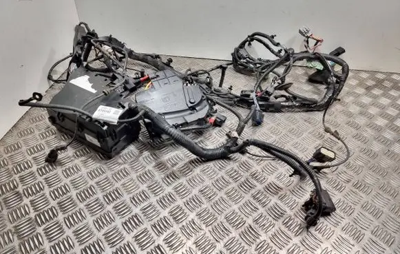 Ford C-MAX II Engine installation wiring loom J1dt91ky49342 Av6t14a067bc Av6t14a067ad