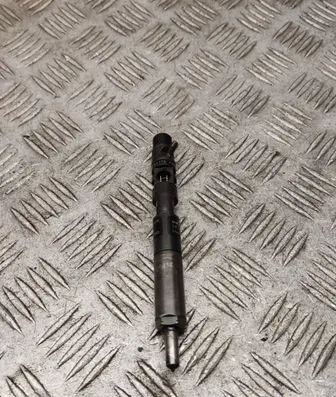 Renault Clio III Fuel injector 28237259