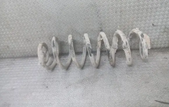 Volkswagen PASSAT B6 Rear coil spring