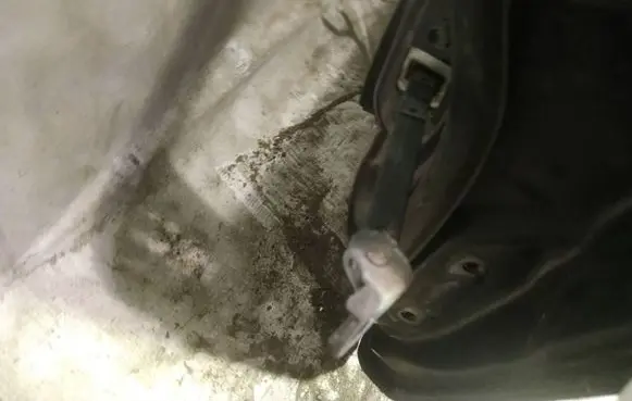 Mazda 2 Front door check strap stopper 