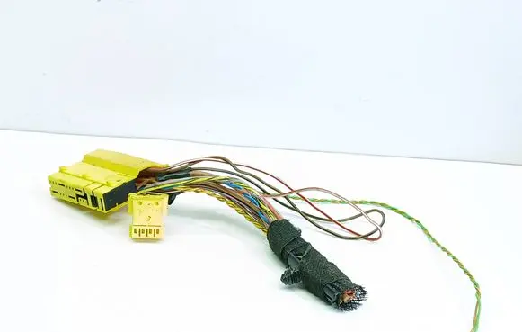 BMW X5 E70 Other wiring loom 6954588 11452489