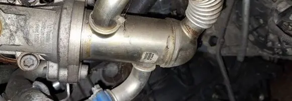 EGR valve cooler