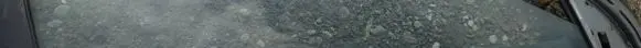 Honda Civic Front door glass trim molding 