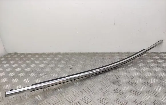 Hyundai Santa Fe Rear door glass trim molding