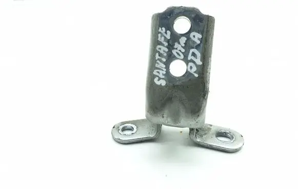 Hyundai Santa Fe Front door lower hinge 