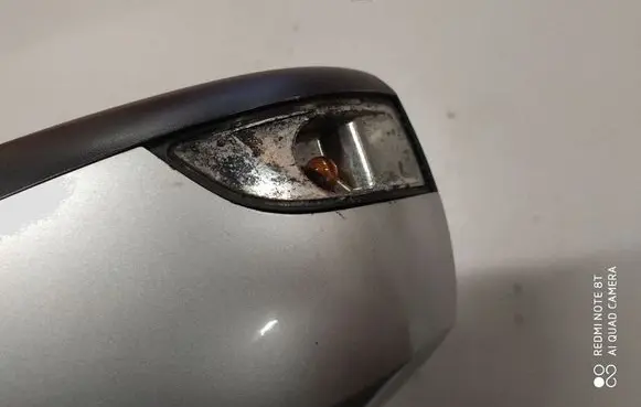 Renault Laguna III Front door electric wing mirror 036098 205056