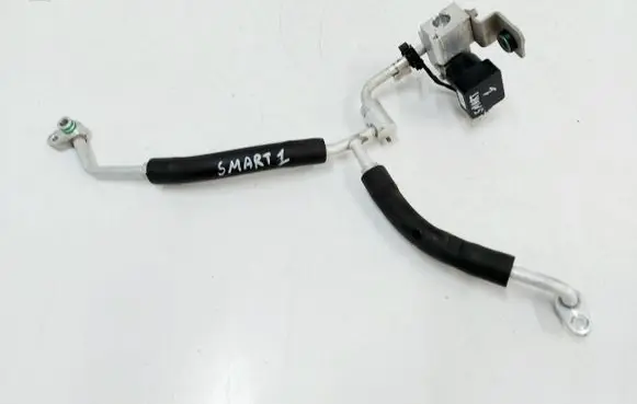 Smart #1 Sensor W420110638
