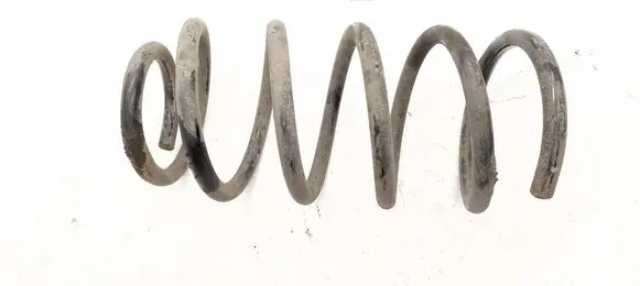 Hyundai Santa Fe Rear coil spring