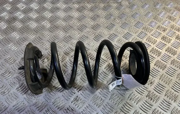 Rear coil spring