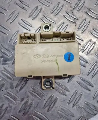 KIA Sportage Other control units/modules 919401F010 EF150935D AK4717